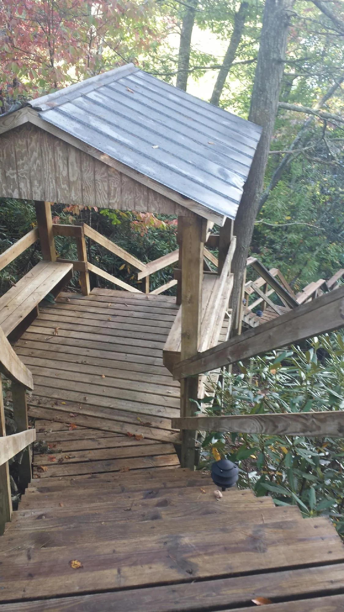 Metal roofed shelter over wooden steps on a wooded walkway — Skylight Repair & Installation work by our crew in Poulsbo